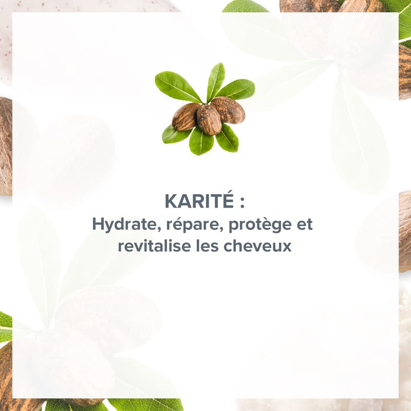 Shea Délice Repair Shampoo
