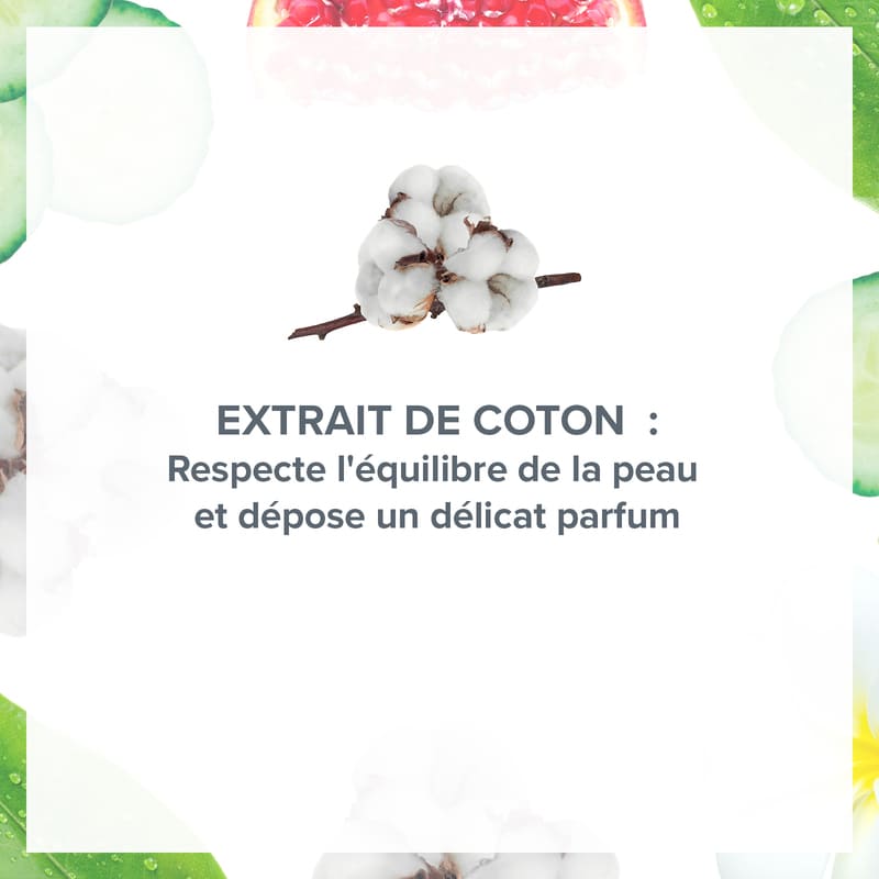 Déodorant Douceur Anti-Transpirant Nuage de Coton