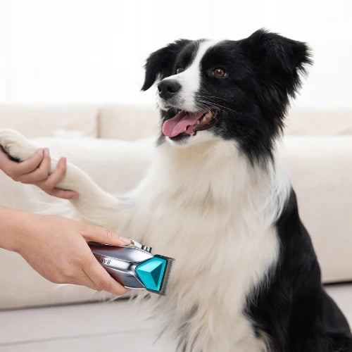 Lait Corps Hydratant Éclat Vitamine C