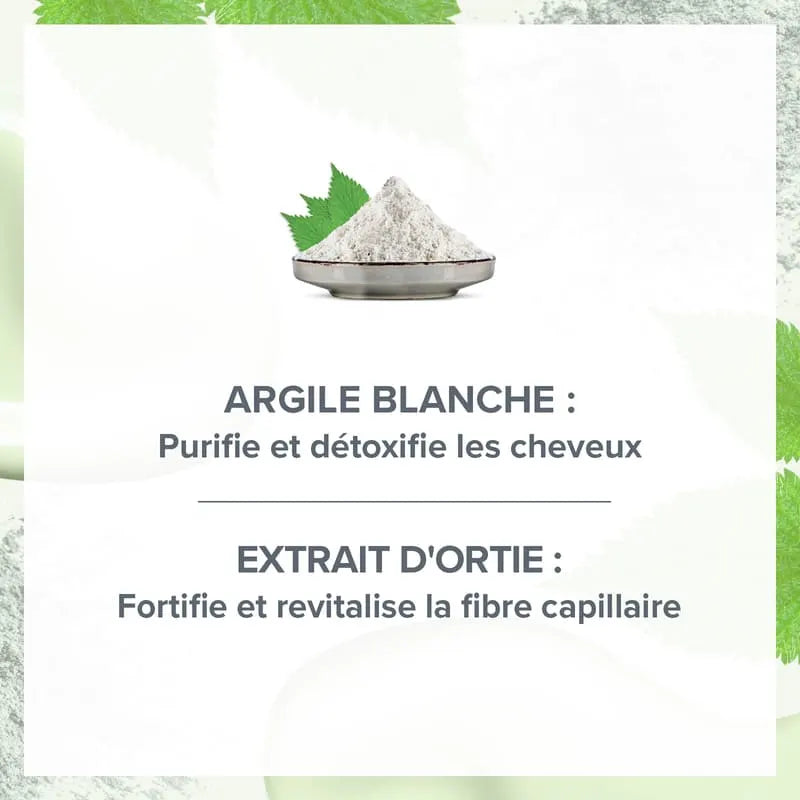 Shampoing Purifiant Secret d'Argile