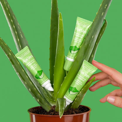 Feuchtigkeitsspendender Lippenbalsam Aloe Vera