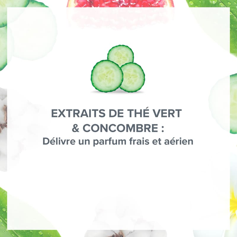 Déodorant Fraîcheur Souffle de Thé Vert & Concombre